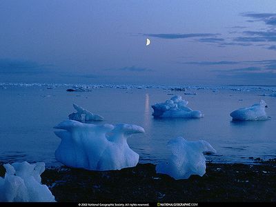 tapeta na pulpit national geographic