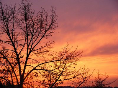 tapety na pulpit zima i swieta